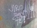Obrázek(22).jpg